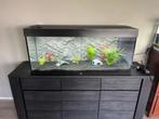 Jewel 240L + Externe filter + dressoir, Dieren en Toebehoren, Vissen | Aquaria en Toebehoren, Ophalen, Zo goed als nieuw, Leeg aquarium