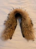 ECHTE bontkraag - van winterjas - met rits en klittenband, Kleding | Dames, Jassen | Winter, Helvetica bontkraag, Ophalen of Verzenden