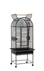 Papegaai kooi, Mannelijk, Papegaai