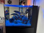 Waterbox 25 peninsula incl meubel en techniek, Ophalen, Zo goed als nieuw
