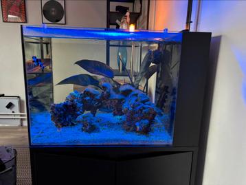 Waterbox 25 peninsula incl meubel en techniek beschikbaar voor biedingen