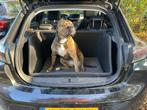 Auto honden kofferbak mand o.a.  Peugeot 208 of grotere auto, Zo goed als nieuw, Ophalen