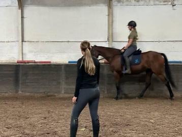 Paardrijles op onze paarden prive of met twee in EDE beschikbaar voor biedingen