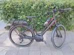 Koga E-lement dames mt 53 Ebike met nyon navigatie, Fietsen en Brommers, Elektrische fietsen, Zo goed als nieuw, 51 tot 55 cm