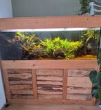 Aquarium 150 x 50 x 50cm, Ophalen, Gevuld zoetwateraquarium