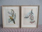 Vintage Schilderijtjes Vogels Wanddecoratie Brocante, Ophalen of Verzenden