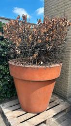 2x grote stenen bloempot, Tuin en Terras, Ophalen, Steen, Gebruikt, Rond
