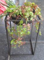 PTMD - PLANTEN SCHALEN SET - METAAL - BRONS, Tuin en Terras, Bloempotten, Rond, Nieuw, Ophalen of Verzenden, Metaal