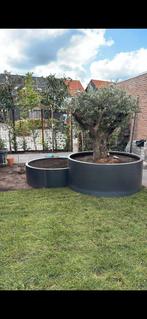 STALEN BAKKEN OP MAAT CORTENSTAAL PLANTENBAK, BORDERS, Tuin en Terras, Ophalen, Nieuw, Metaal