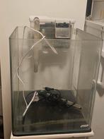 dennerle nano cube 30, Dieren en Toebehoren, Vissen | Aquaria en Toebehoren, Ophalen, Zo goed als nieuw, Leeg aquarium