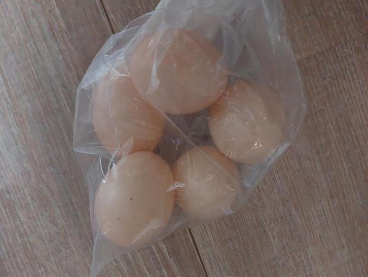 nep kippen eieren bruin plastic, Dieren en Toebehoren, Pluimvee | Toebehoren, Nieuw, Kippenhok of Kippenren, Ophalen of Verzenden