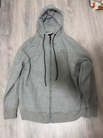 Nike air jordan vest grijs L, Ophalen of Verzenden, Zo goed als nieuw, Grijs