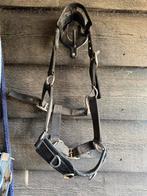 Diverse (kaptoom) halsters maat shet/pony, Dieren en Toebehoren, Paarden en Pony's | Hoofdstellen en Tuigage, Ophalen of Verzenden