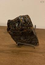 Barnsteen, Ophalen of Verzenden, Fossiel