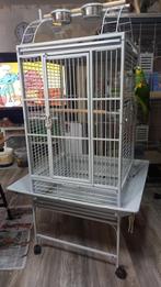 Grijze Roodstaart en valkparkieten.vogel kooi, Ophalen, Zo goed als nieuw, Metaal, Vogelkooi