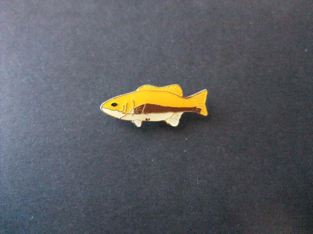 Zonnebaars zoetwatervis ( uit Noord-Amerika) pin, Ophalen of Verzenden, Gebruikt, Overige onderwerpen