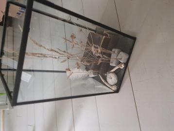 Windlicht zwart/glas beschikbaar voor biedingen