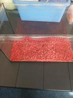 Aquarium met grind,pomp enz, Dieren en Toebehoren, Vissen | Aquariumvissen, Vis
