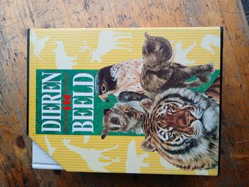 dieren in beeld  beschikbaar voor biedingen