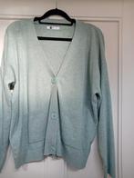 Mint groen vest xl, Ophalen of Verzenden, Zo goed als nieuw, Maat 46/48 (XL) of groter, Groen