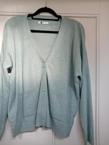 Mint groen vest xl beschikbaar voor biedingen