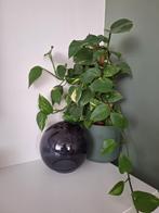 Glazen tafellamp, Ophalen, Zo goed als nieuw, Glas, Minder dan 50 cm