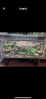 Terrarium, Dieren en Toebehoren, Ophalen, Zo goed als nieuw, Terrarium of Paludarium