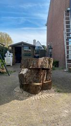 Grote boomstronken te koop, Tuin en Terras, Minder dan 3 m³, Ophalen, Overige houtsoorten