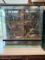 Paludarium met toebehoren, Dieren en Toebehoren, Ophalen, Zo goed als nieuw, Terrarium of Paludarium