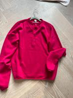 Extreme cashmere trui m/L, Kleding | Dames, Truien en Vesten, Extreme cashmere, Ophalen of Verzenden, Zo goed als nieuw