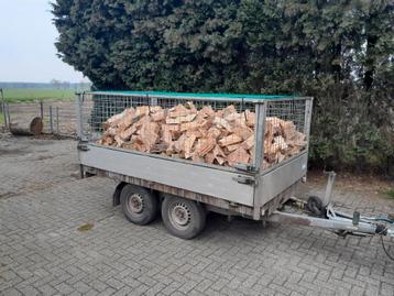 Brandhout.  beschikbaar voor biedingen