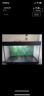 Aquarium, Dieren en Toebehoren, Vissen | Aquaria en Toebehoren, Ophalen, Zo goed als nieuw