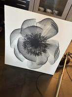 Canvas schilderij, Ophalen of Verzenden, Zo goed als nieuw, Schilderij, 75 tot 100 cm