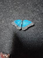Magneet blauwe Morpho vlinder, Verzamelen, Dierenverzamelingen, Ophalen of Verzenden, Zo goed als nieuw, Insect, Beeldje of Figuurtje