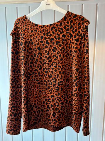 Dames kleding beschikbaar voor biedingen