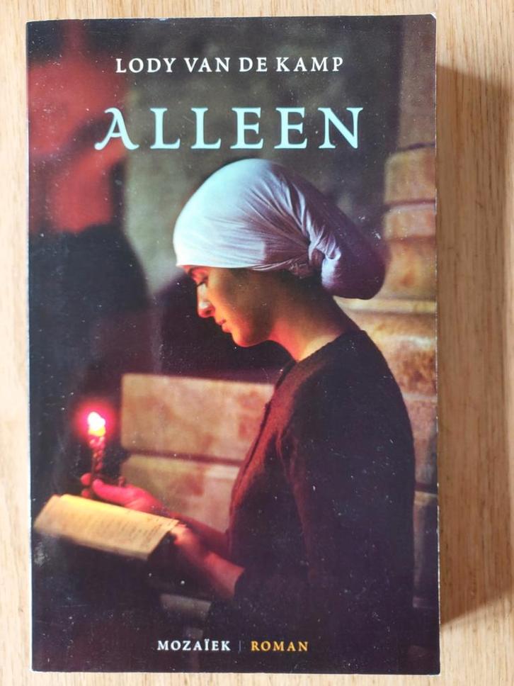 Alleen, door Lody B. van de Kamp, Boeken, Literatuur, Zo goed als nieuw, Wereld overig, Ophalen of Verzenden