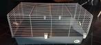 Kooi voor konijn of cavia, Kooi, Cavia, Zo goed als nieuw, Ophalen