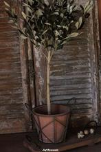 Stoere terracotta pot in frame. Prachtig met olijfboom, Nieuw, Ophalen of Verzenden, Stoer sober landelijk Hoffz Aura Peeperkorn