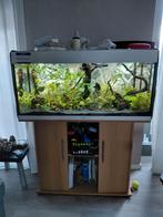 Juwel Aquarium Rio 180 met extern filter, Dieren en Toebehoren, Vissen | Aquaria en Toebehoren, Ophalen, Zo goed als nieuw, Leeg aquarium