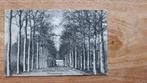 ansichtkaart Breda Liesbosch Beukenlaan Prinsenhage, Ophalen of Verzenden, Voor 1920, Gelopen, Noord-Brabant