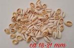 70 stuks Kauri Cowrie schelpen kralen bedels creme, Ophalen of Verzenden, Nieuw, Kraal