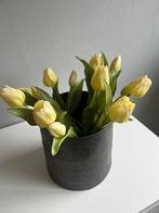 Tulpen, Ophalen of Verzenden, Zo goed als nieuw
