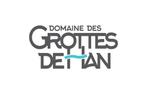 Domein van de Grotten van Han 2e kaartje GRATIS, Tickets en Kaartjes, Drie personen of meer