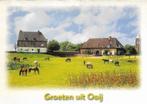 Ansichtkaart	Ooij	Resten Kasteel Ooij, Verzamelen, Ansichtkaarten | Nederland, Verzenden, 1980 tot heden, Gelopen, Gelderland