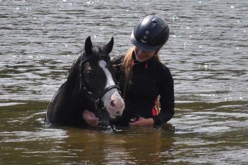 Verzorgster aangeboden, Dieren en Toebehoren, Paarden en Pony's | Verzorgingsproducten, Ophalen