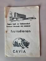 2 oude schoolboekjes (Dordrecht), Boeken, Schoolboeken, Ophalen of Verzenden, Gelezen, Overige niveaus, Nederlands
