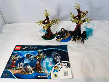 Lego 75946 Expecto Patronum beschikbaar voor biedingen