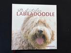De australian labradoodle arienne quak, informatie handboek, Honden, Ophalen of Verzenden, Zo goed als nieuw, Arienne Quak