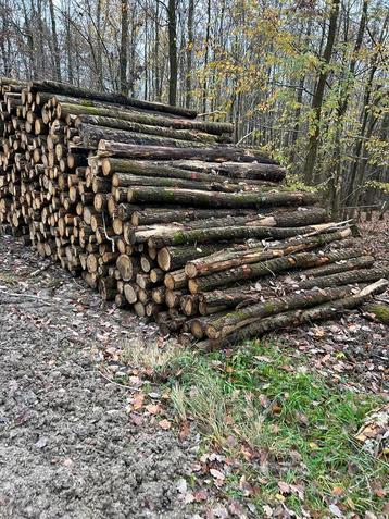 Rondhout/stamhout/brandhout/haardhout levering heel NL! beschikbaar voor biedingen