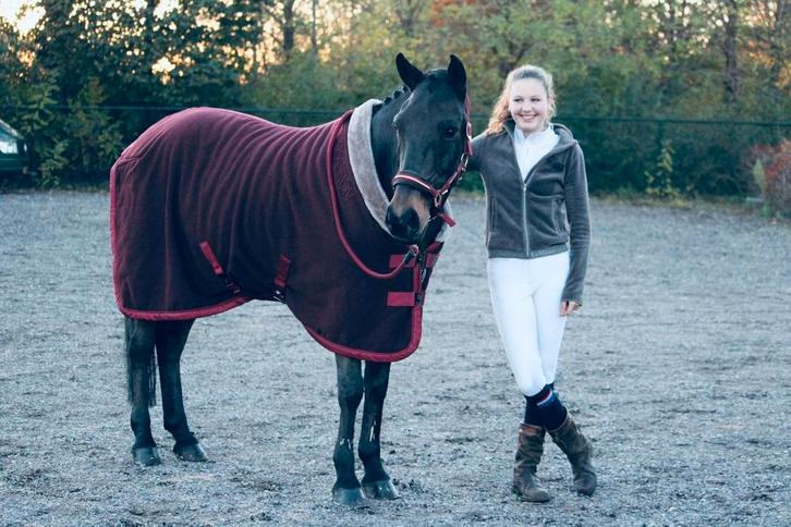 ZGAN showdeken Eskadron 135/185 bordeaux inclusief halster, Dieren en Toebehoren, Paarden en Pony's | Dekens en Dekjes, Zo goed als nieuw